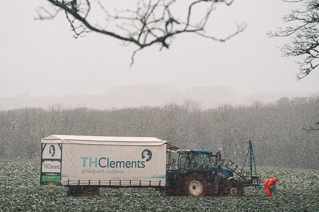 T H Clements & Son Ltd | Boston