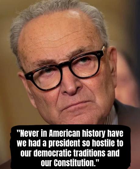David - Chuck Schumer is triggered by Trump 2028 jokes: “Never in ...