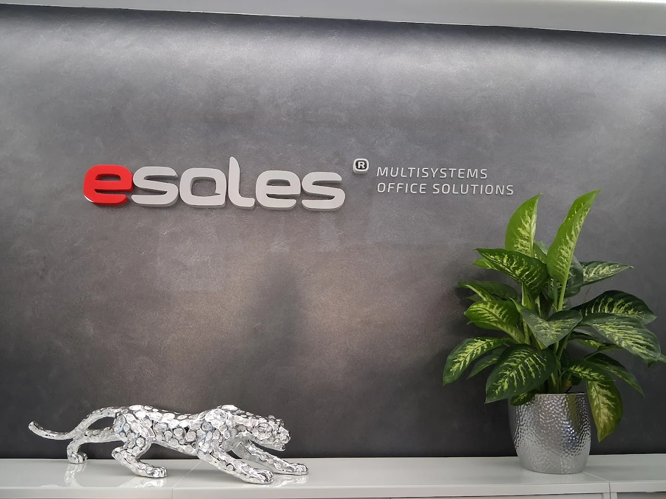 Esales - multisystems office solutions | Katowice