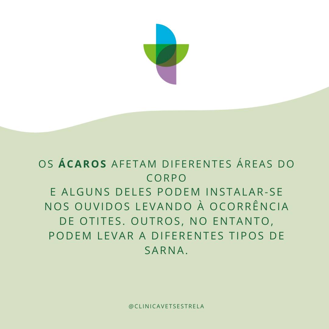 Clinica Veterinaria Serra da Estrela - Apelo muito especial: 🥰 Esta ...