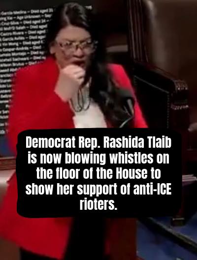 David - Democrat Rep. Rashida Tlaib is now blowing whistles on the ...
