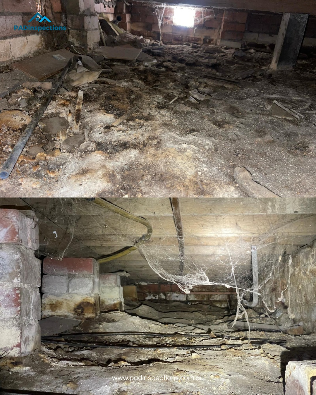 💨 Subfloor Ventilation — One of the Most Overlooked (and Most Important ...