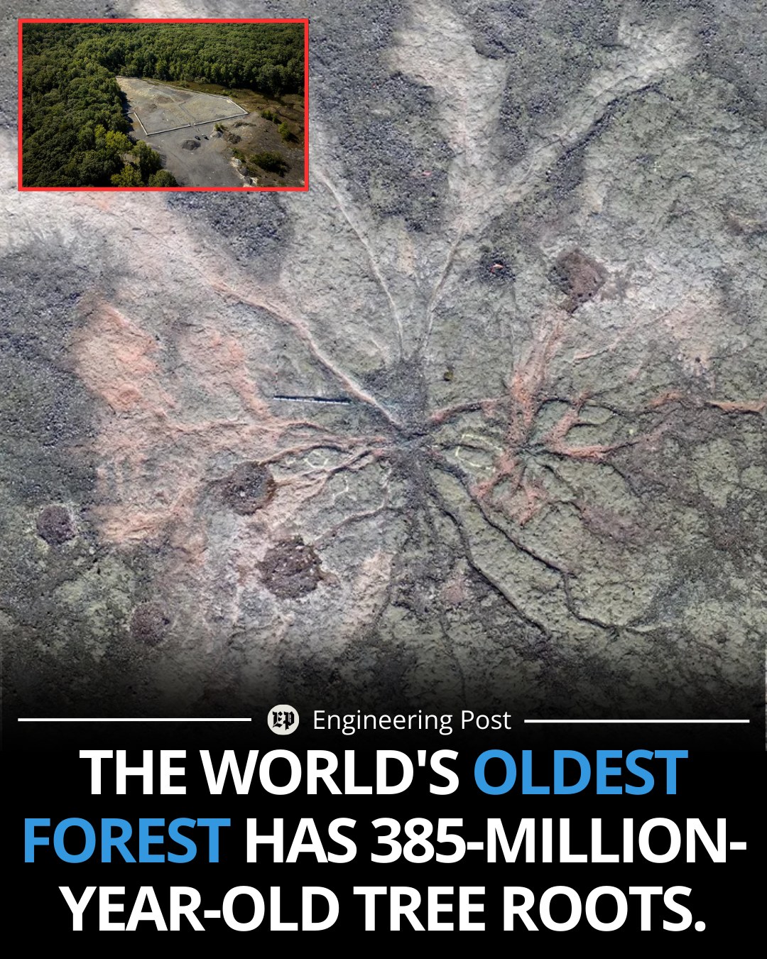 Engineering - Did you know that Earth is home to an estimated three ...