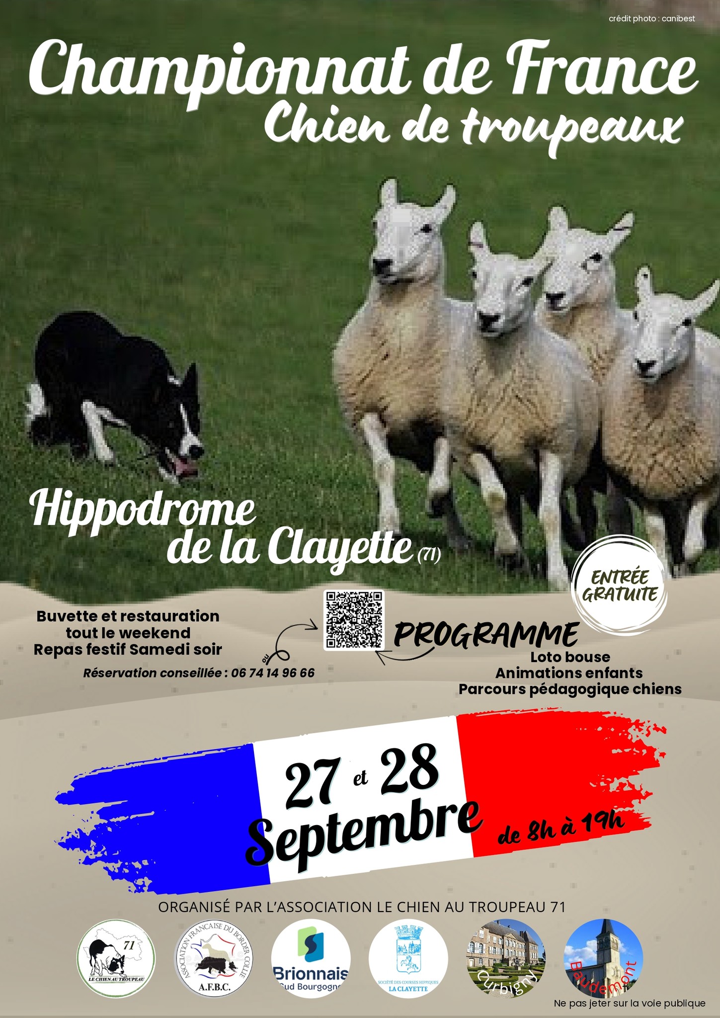 championnat-de-france-chiens-de-troupeau