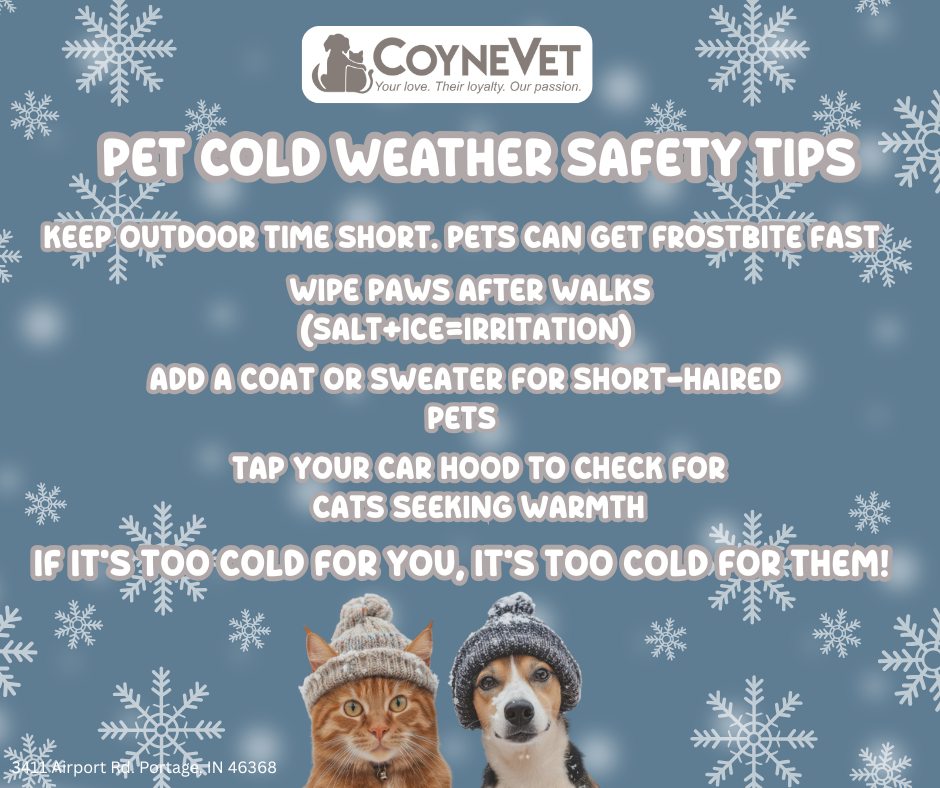 Coyne - ️ Extreme Cold Weather Reminder ️ With the dangerously cold ...