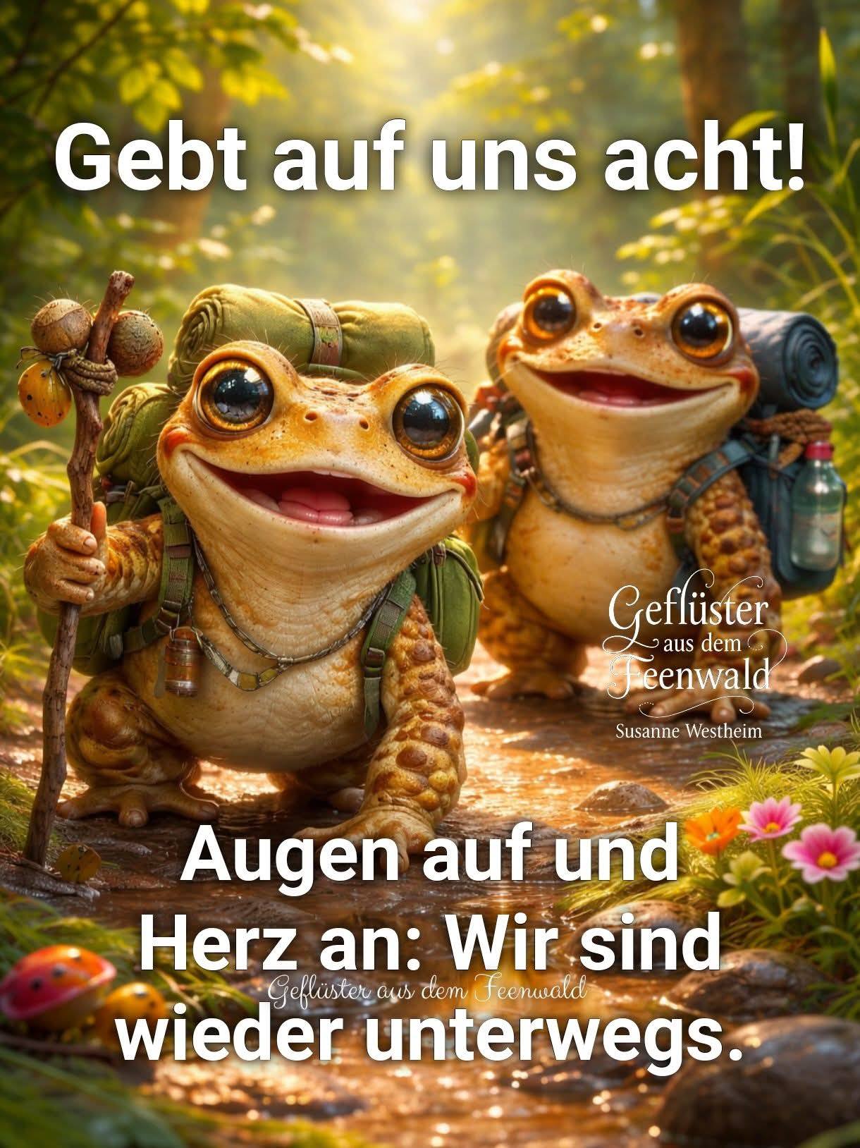 guten-morgen-gute-nacht-spr-che-spa-humor-sch-nen-abend-kommt