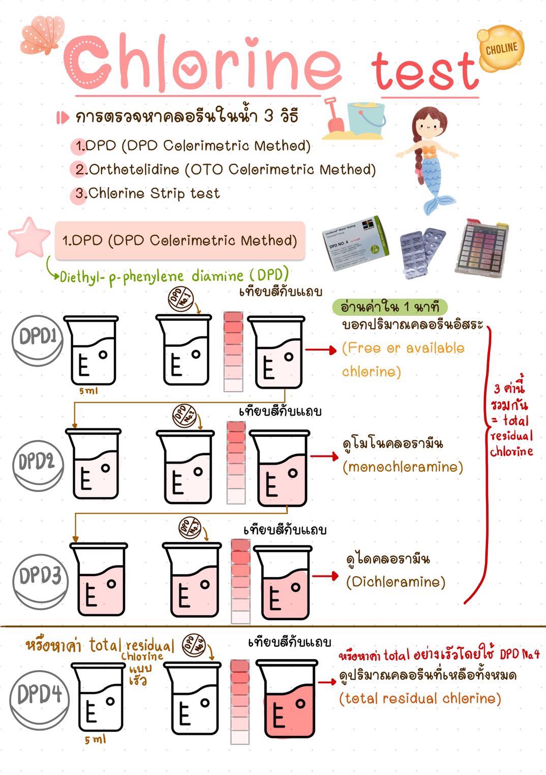 💛การตรวจ... - สู่เส้นทาง NURSE HEMO by. เด็กหญิงกาฟาง | Facebook