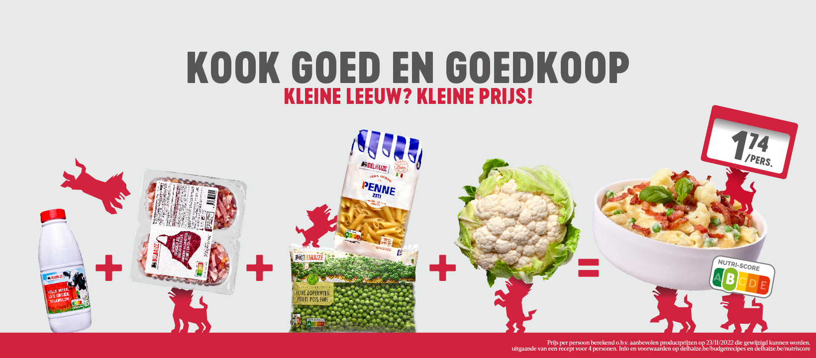 Delhaize Ronse | Ronse