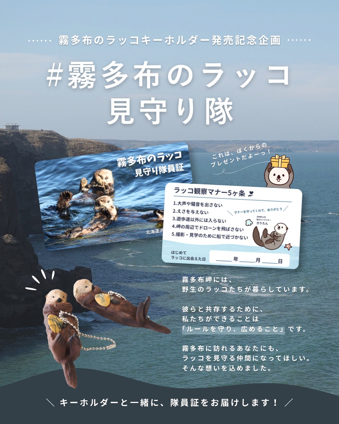 浜中町観光協会 - ／ きりたんからのプレゼント? 「霧多布のラッコ 