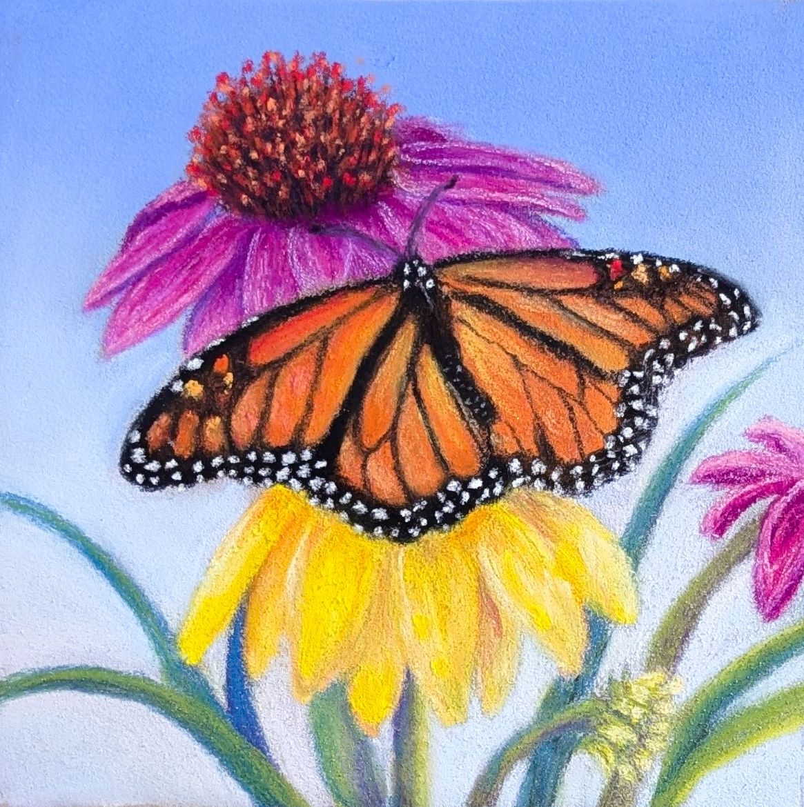 Hand + Tools + Pastel = The Art! When color, light, memory ...