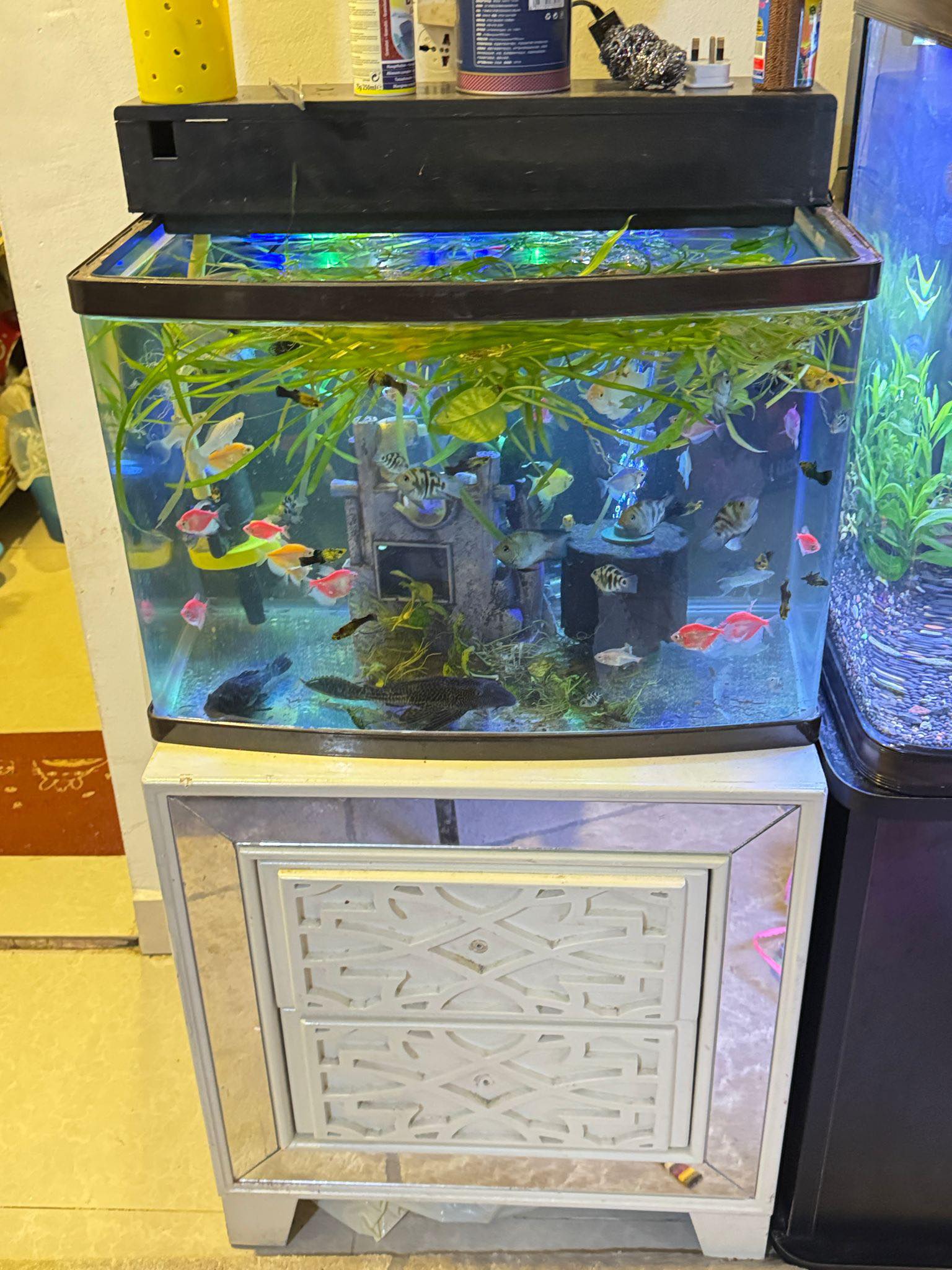 fish tank and accessories for sale Midwest Tropical TT-1500 Hexagon AquaScape Aquarium in sump filtration system Fish Tank, Stand Heavy Duty