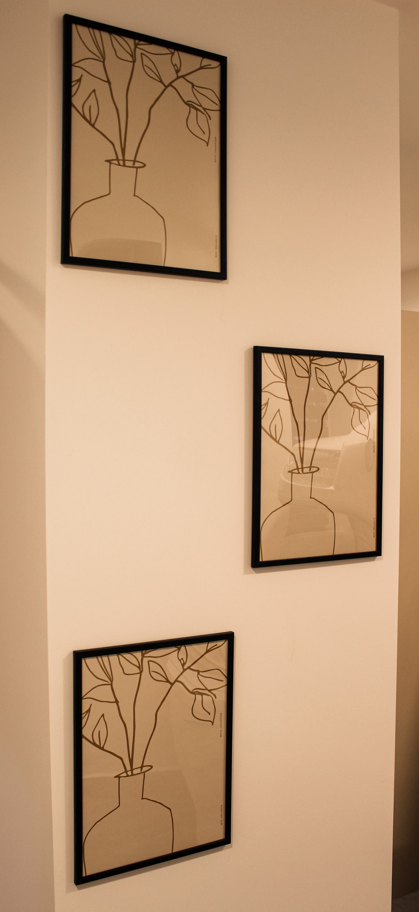 WoodDesign | Radomir