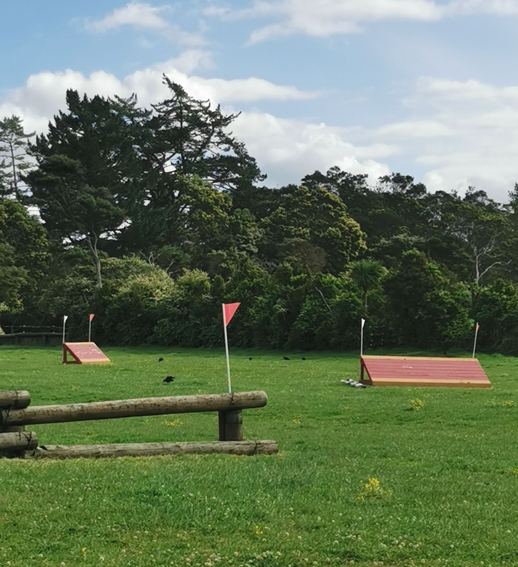 🌿🐴 𝐂𝐑𝐎𝐒𝐒 𝐂𝐎𝐔𝐍𝐓𝐑𝐘 𝐈𝐒 𝐎𝐏𝐄𝐍! 🐴🌿... - Wainoni Park Pony Club | Facebook