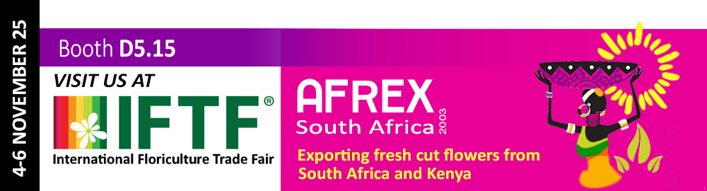 Afrex 2003 Pty Ltd. | Kempton Park