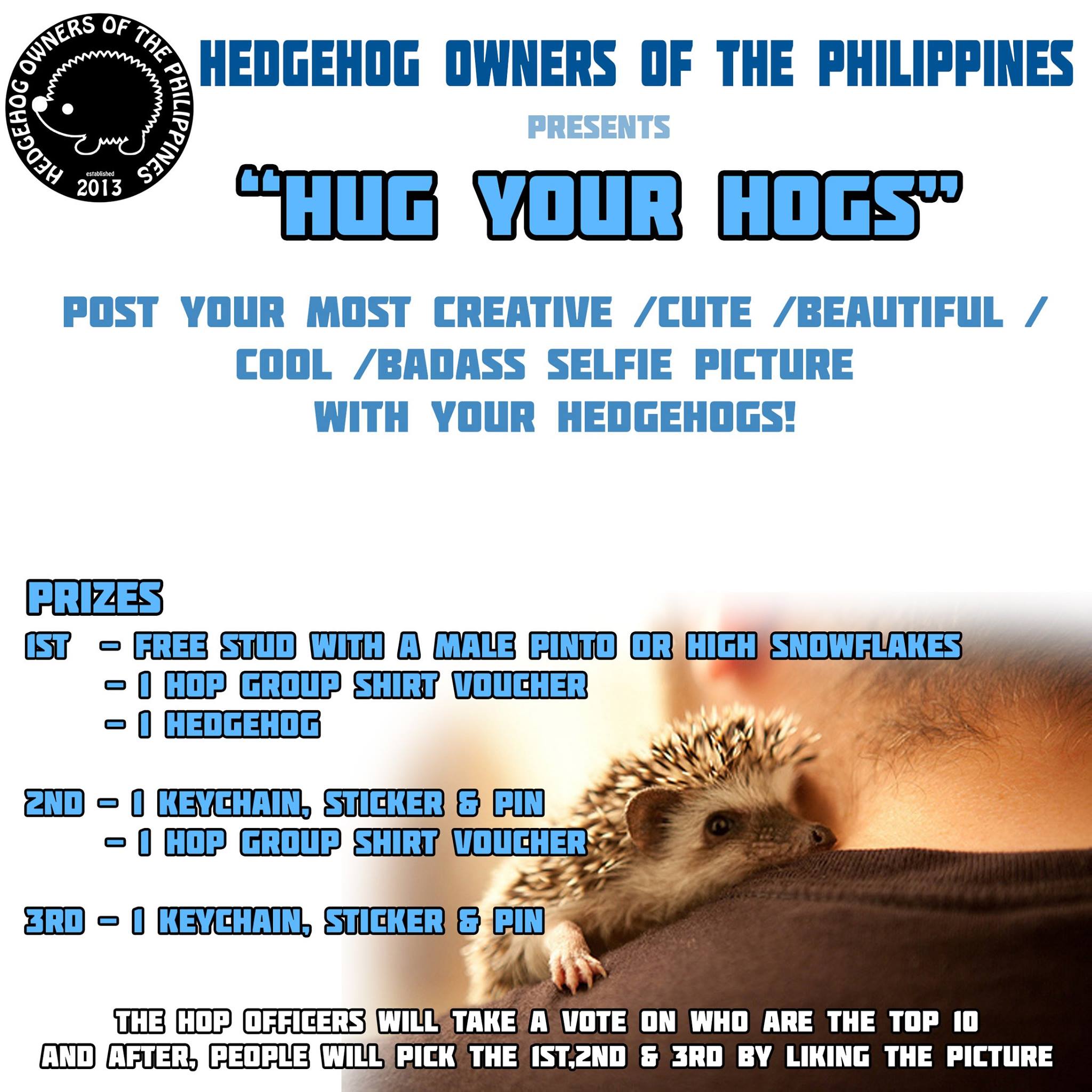 Hedgehog Owners of the Philippines - Hedgehog Owners of the Philippines ...
