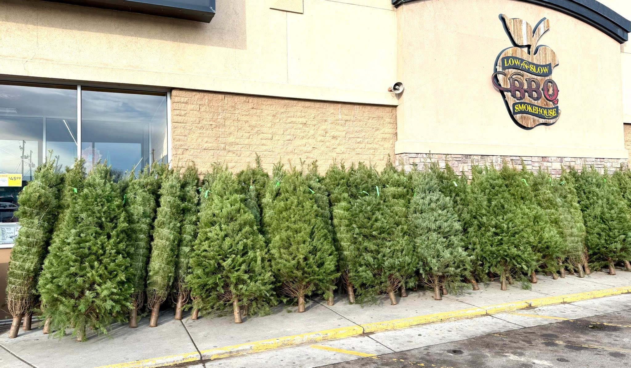 HO!HO!HO!!?. ‼️SATURDAY ONLY‼️….any size tree for only $39.99 