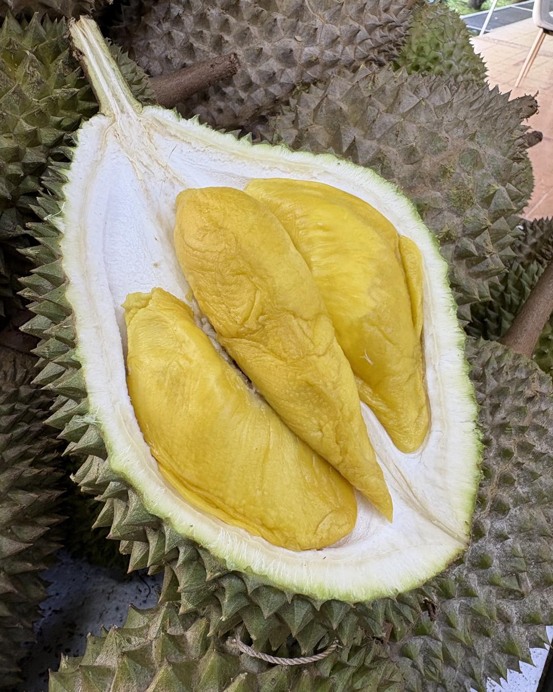 Sin Durian | City Singapore