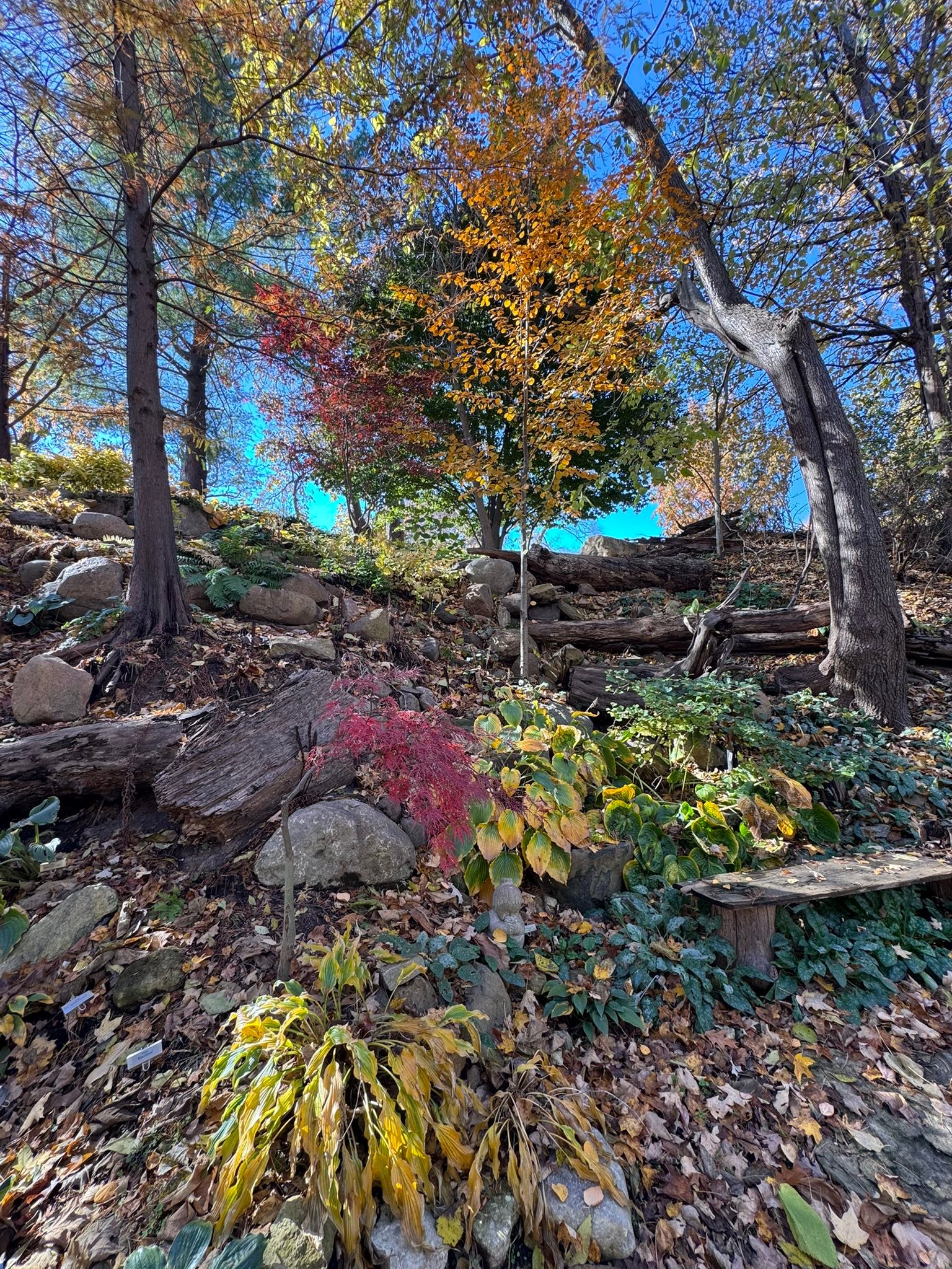 Hornbaker - The fall foliage doesn’t end with trees and shrubs. The ...