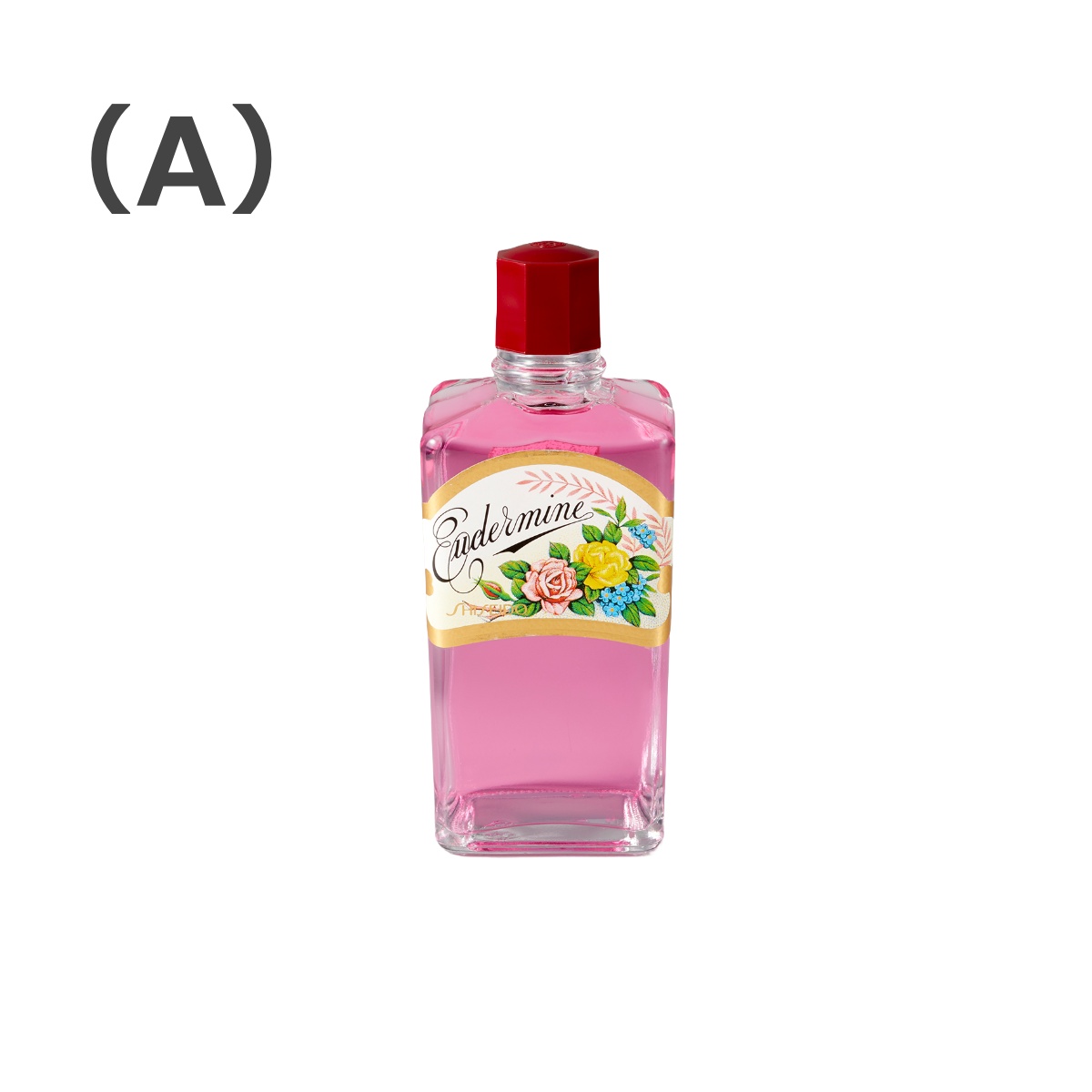 Shiseido - L'OSIERのオリヴィエ・シェニョンが推進するサステナブルな