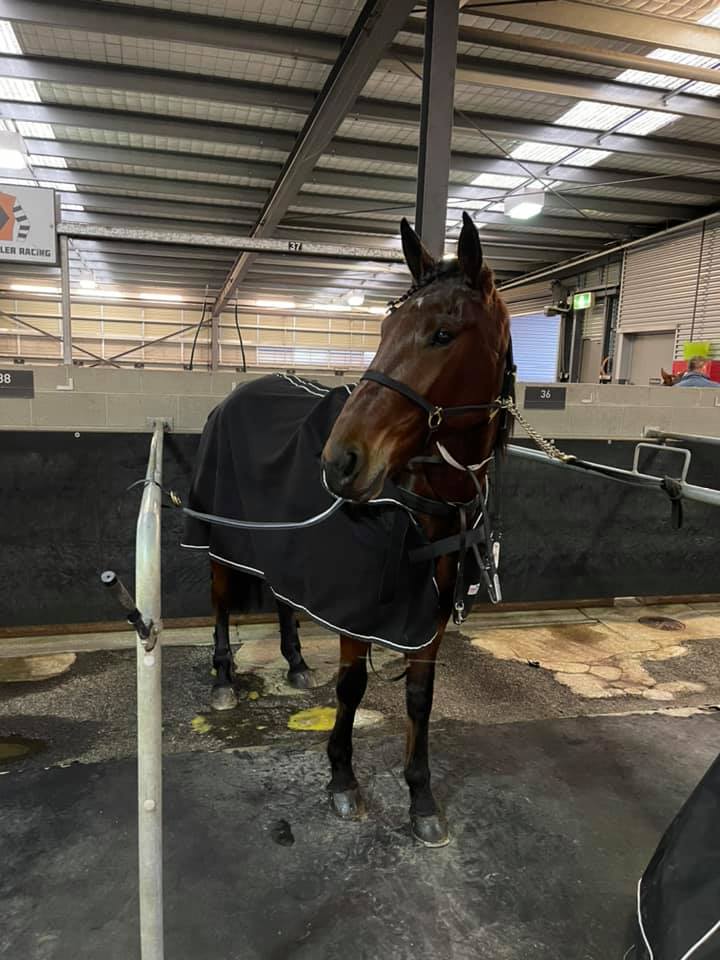 Costello Racing | Cranbourne VIC