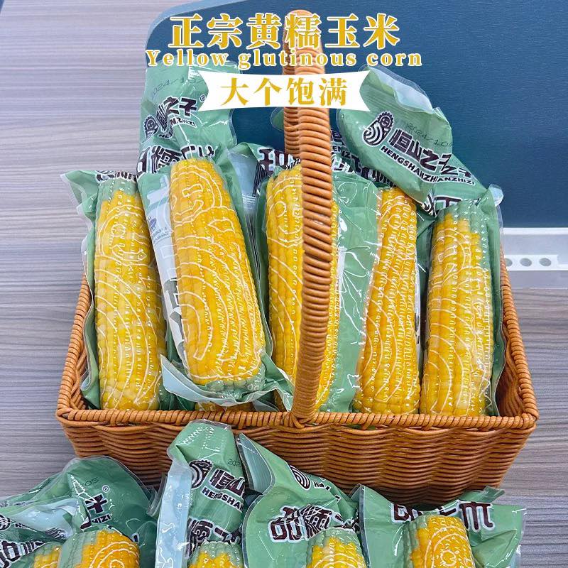 精选商超黄糯玉米真空黏糯玉米棒黄苞米新鲜黄玉米非即食健身低脂Rm2.80/根