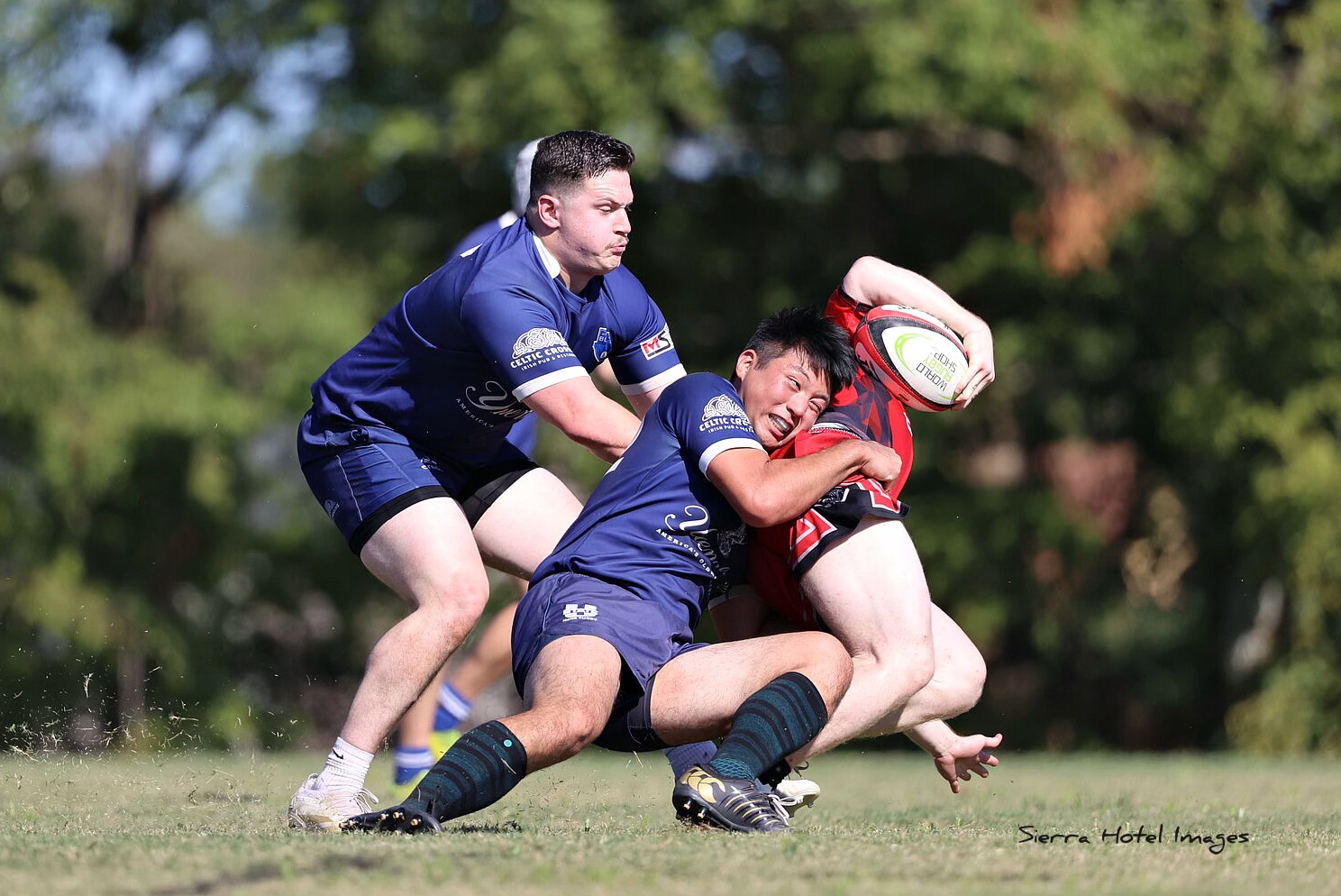 Memphis Blues Rugby Club | Memphis TN