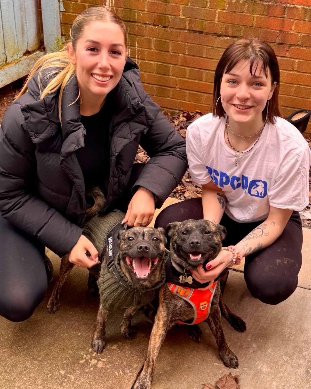 Last year, brothers Bailey and... - RSPCA (England & Wales) | Facebook