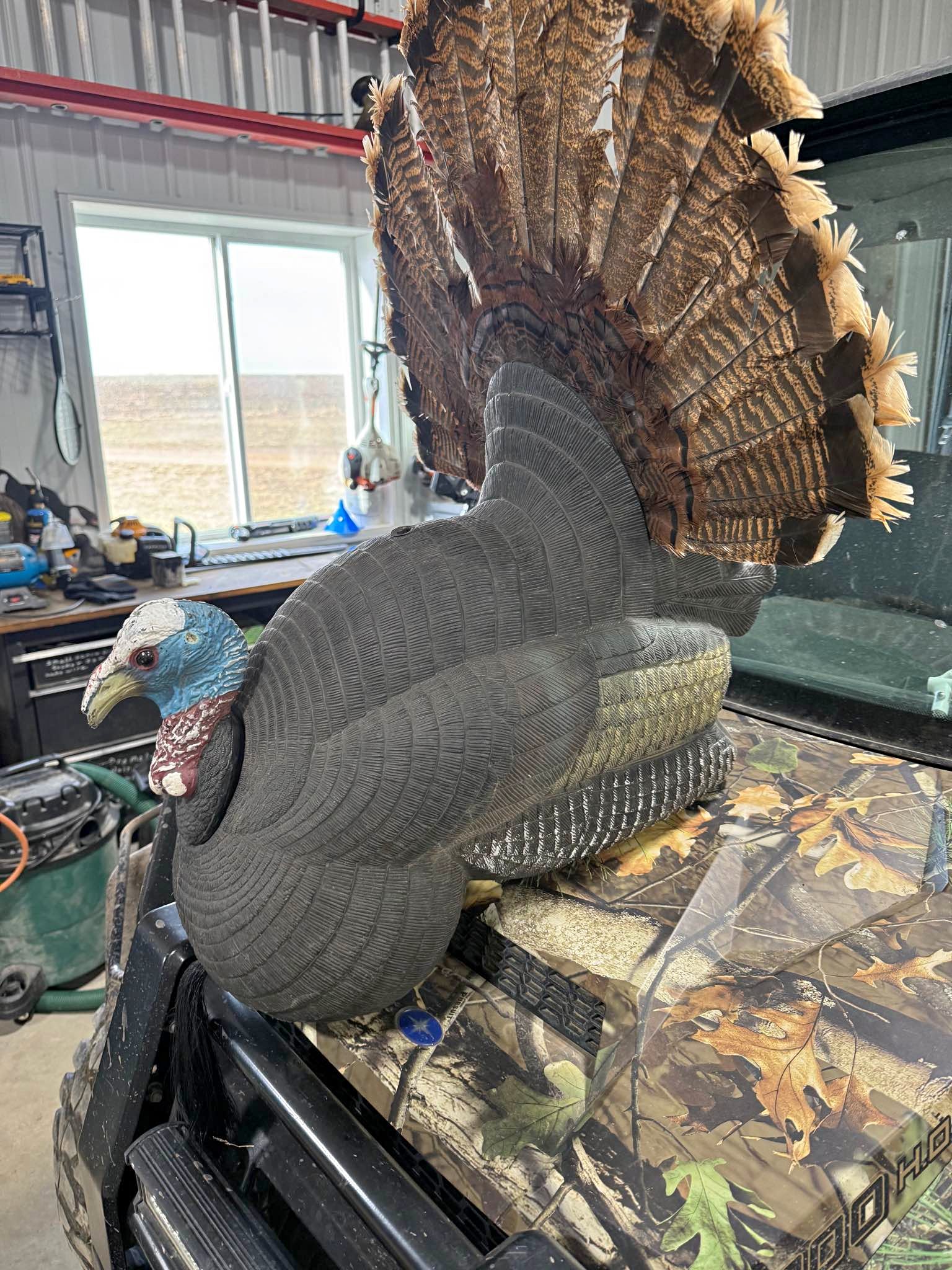 Flambeau Strutter Turkey Decoy with Fan - Dresses - Plato, Minnesota ...