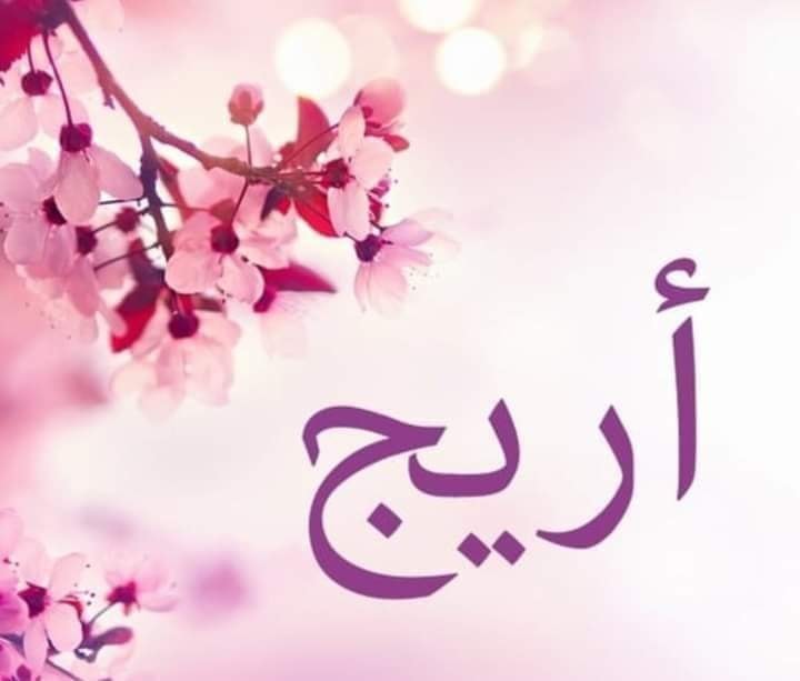 شاهين - #أسماء معنى اسم #أريج حرف (ا) حرف ناري مذكر حرف (ر) حرف مائي ...