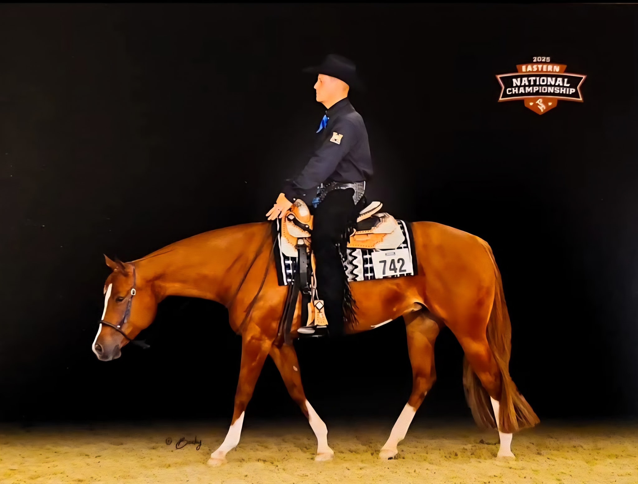 Circle - Huntin The Shore 🌊 2021 AQHA, APHA, PtHA mare (color) The ...