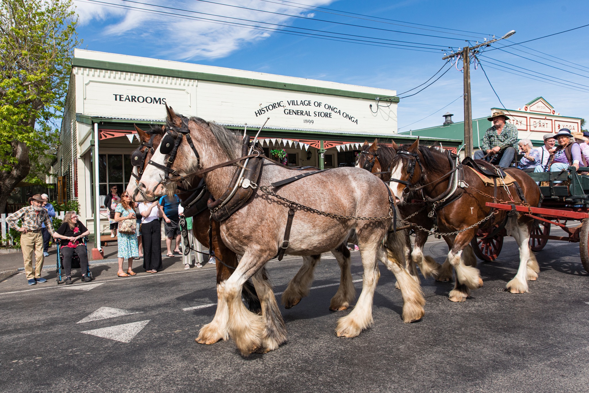 Not sure where to vote?... - Matamata-Piako District Council | Facebook