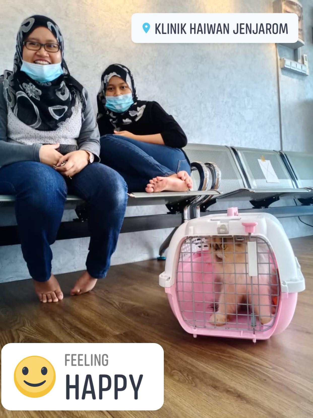Klinik Haiwan Jenjarom Klinik Haiwan Jenjarom Facebook