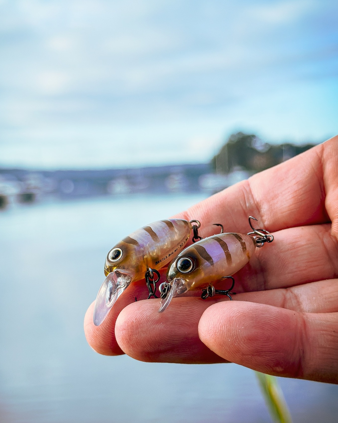 beetle bug fishing lures HANDMADE WOOD FOLK ART LURE  LADYBUG  Toad Tackle For a realistic look your bass havent seen before Johnson Beetle Spin Nickel Blade