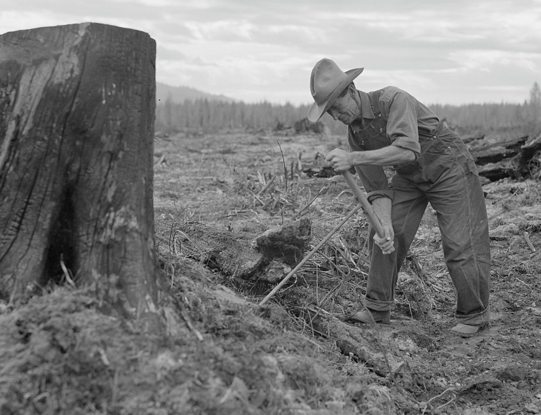 Dorothea - I bet this farmer warned Dorothea to stay WAY back after he ...