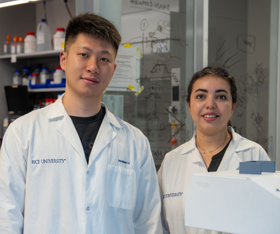 Rice Engineering and... - Rice Engineering and Computing