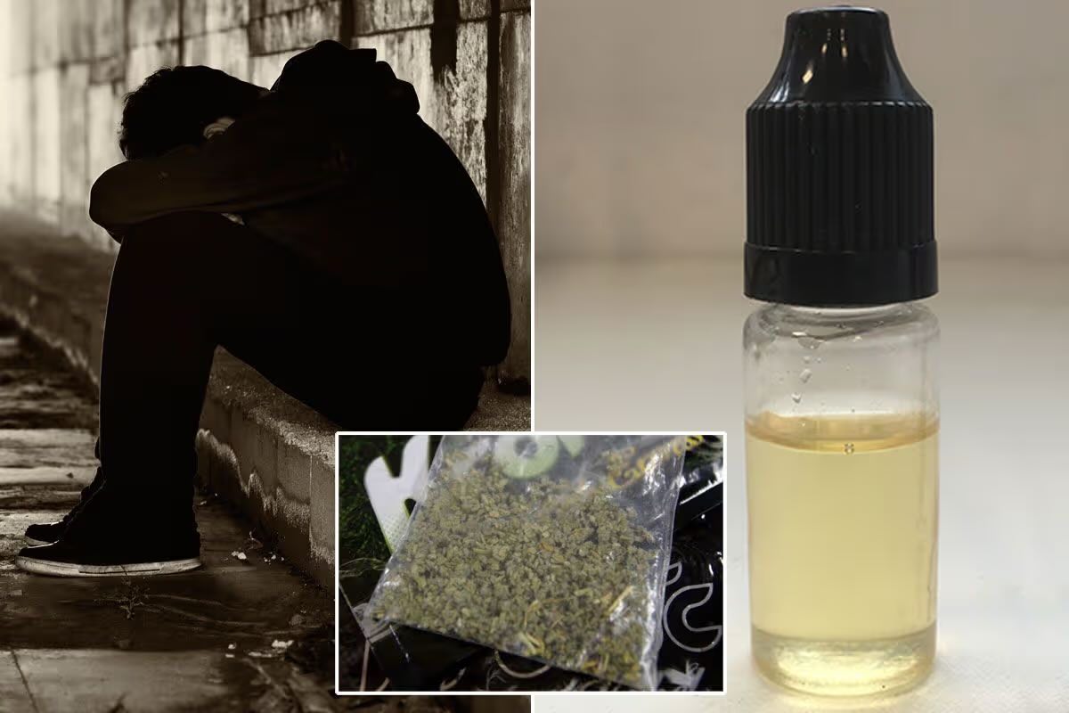 spice vape juice Warning over availability of 'spice' vapes on Belfast streets Many people unknowingly purchase it in vapes disguised as THC or cannabis oil yet it can be between 10 or 100 times more Colour=Blue Refill Flavor:Strawberry Cupcake Blue Dream Strain Hybrid
