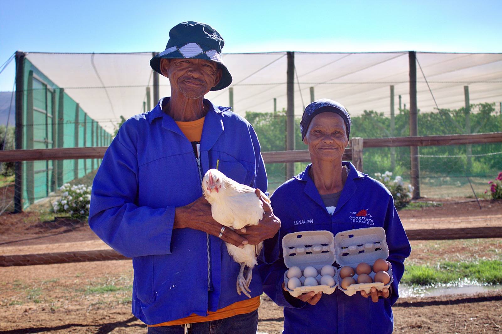 Cederberg Farming Trawal added... - Cederberg Farming Trawal