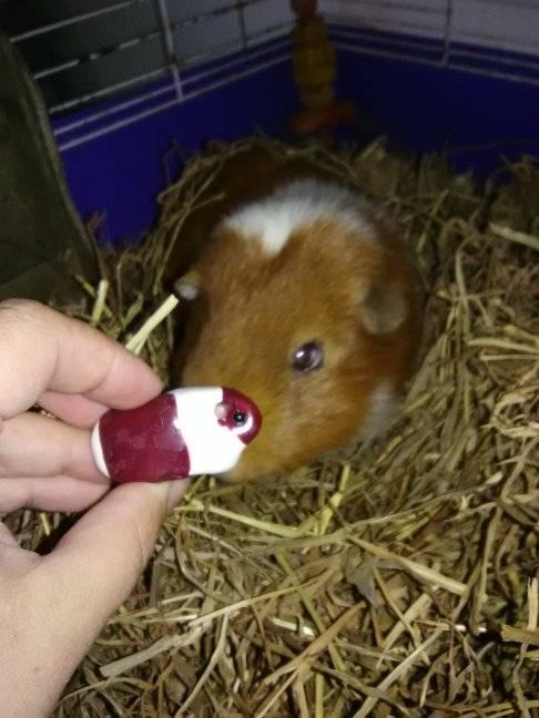 Mr Jingles Facebook