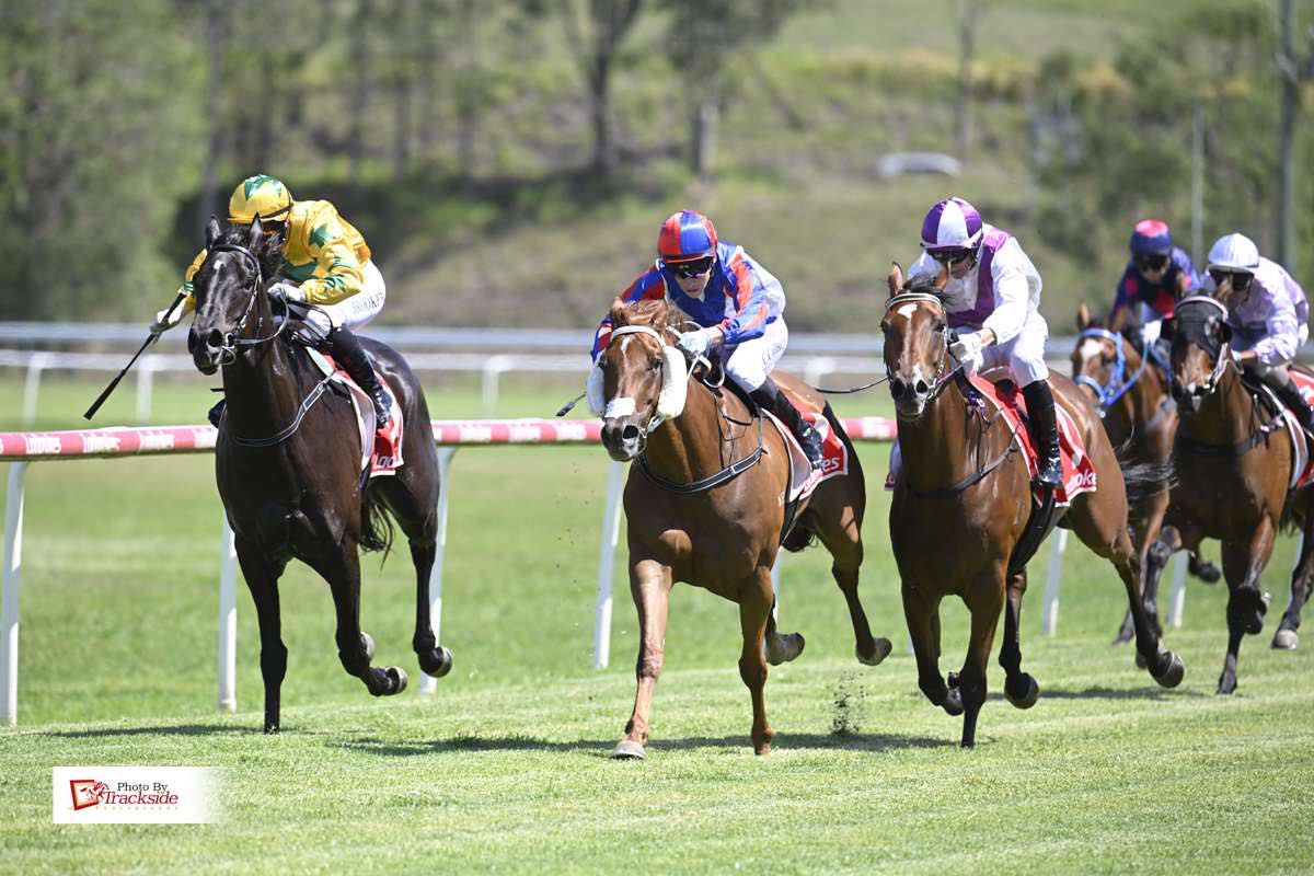 Currie Racing | Toowoomba QLD
