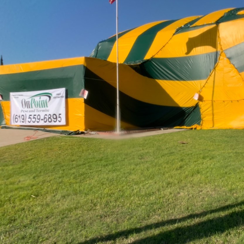 Onpoint Pest & Termite Control | Chula Vista CA
