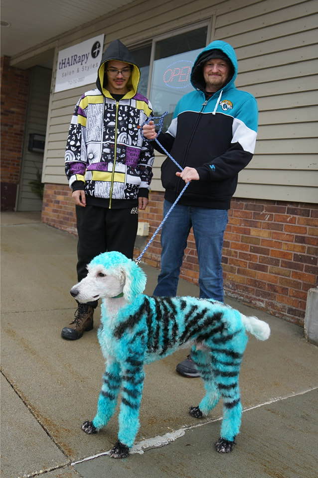 Storm - A DOG OF A DIFFERENT COLOR Dog dye is easy to apply, says this ...
