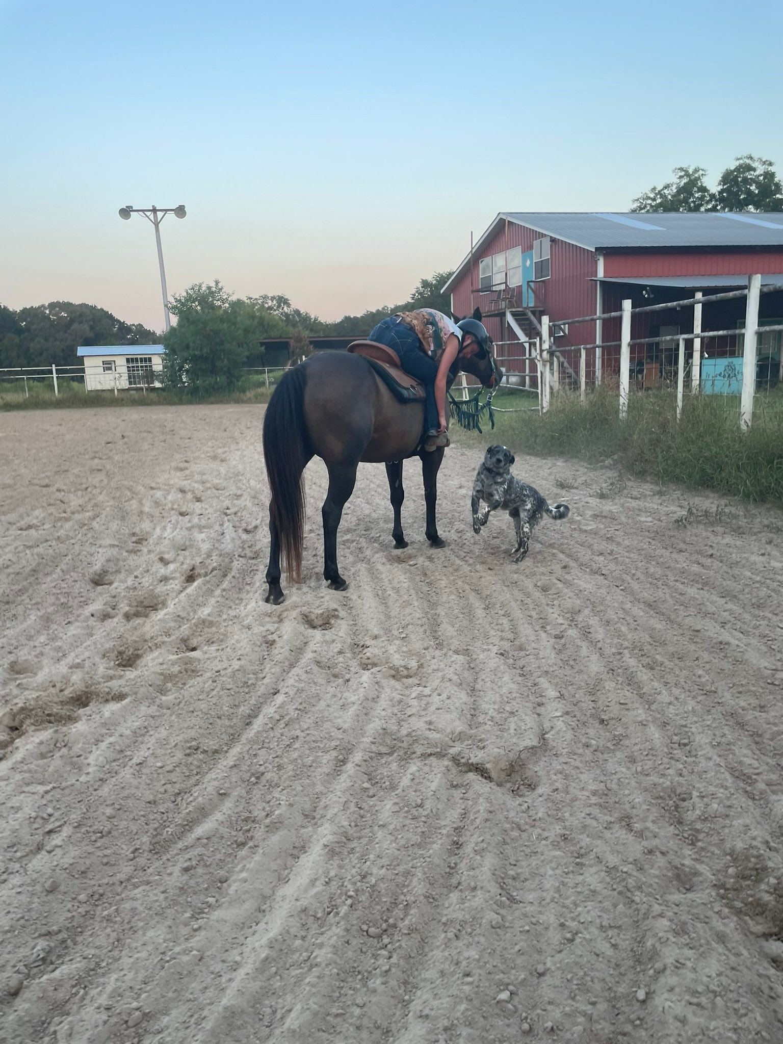 Hitchin' Post Riding... - Hitchin' Post Riding Lessons