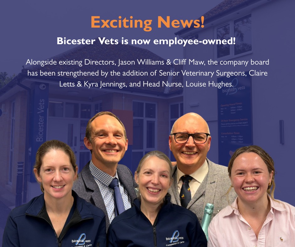 Bicester Vets | Bicester
