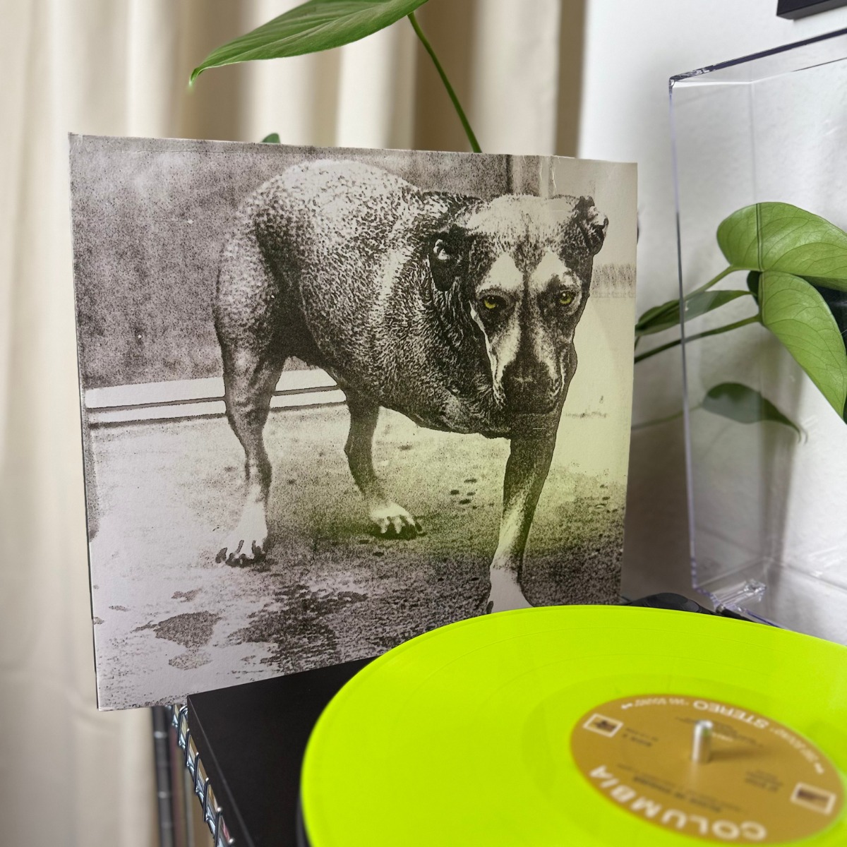 The 30 year anniversary edition of Alice In Chains' selftitled 3rd