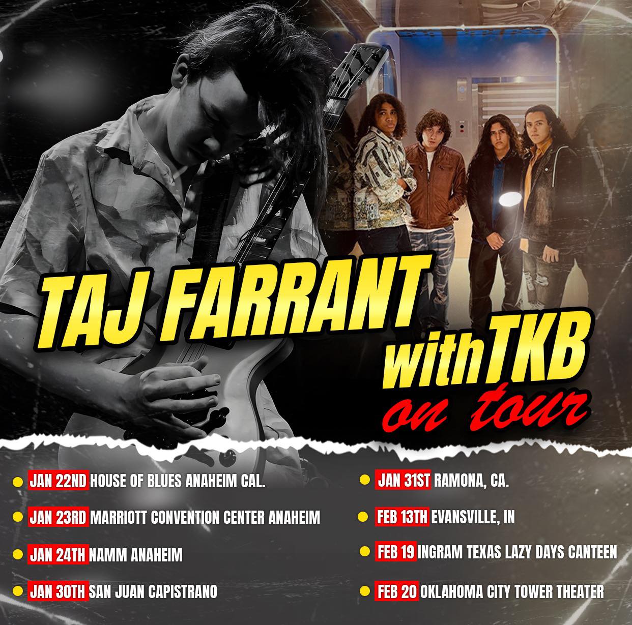 TK from 凛として時雨 North America Tour ポスター ⠀ TK from Ling