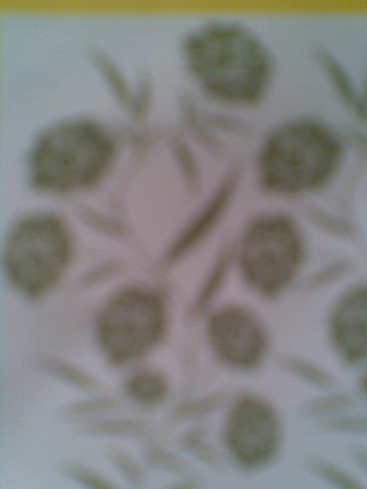 M Ali rangsaz
