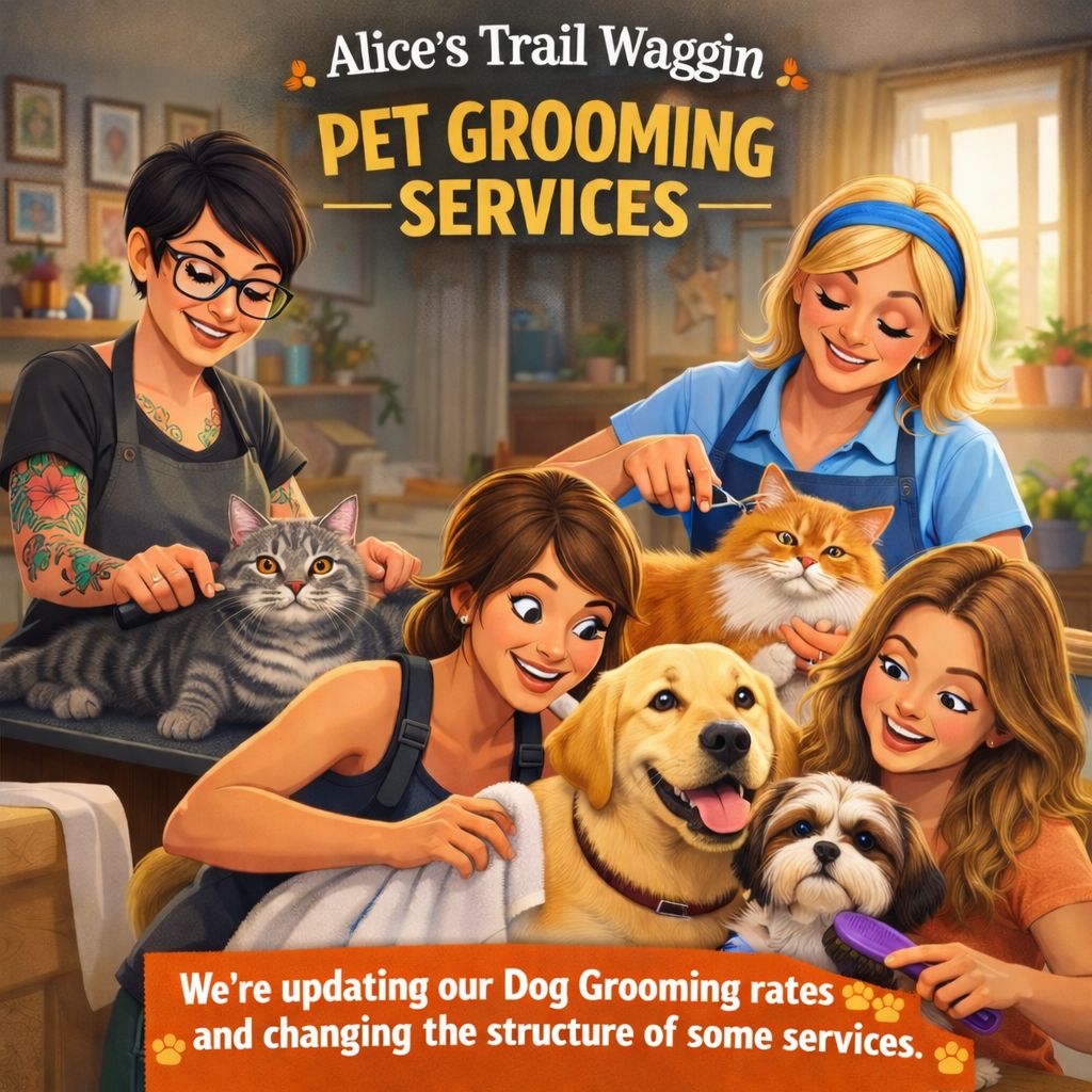 Photo inspiration: Gallery Detail: Alice S Our Groomers Angela And Tina Make Sure Time