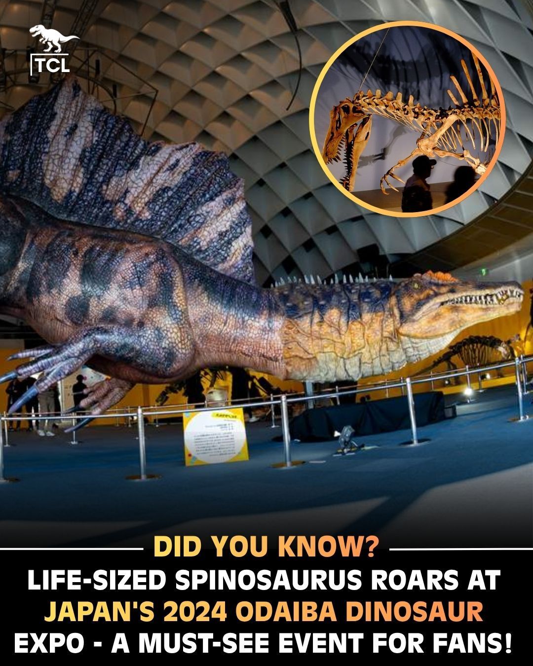 🦖𝐎𝐃𝐀𝐈𝐁𝐀 𝐃𝐈𝐍𝐎𝐒𝐀𝐔𝐑 𝐄𝐗𝐏𝐎 𝟐𝟎𝟐𝟒