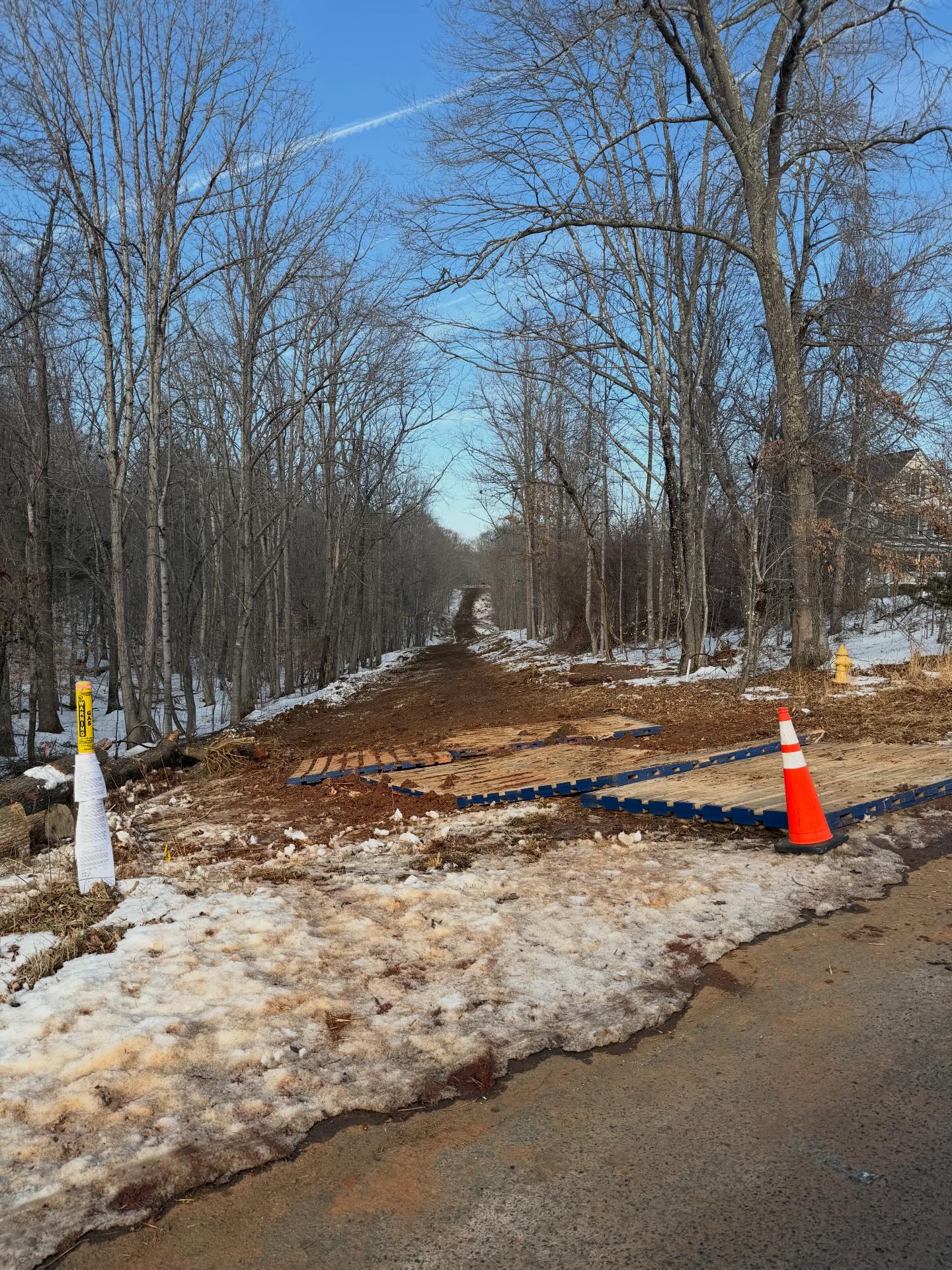 Rogue Tree Solutions | Smithville OH