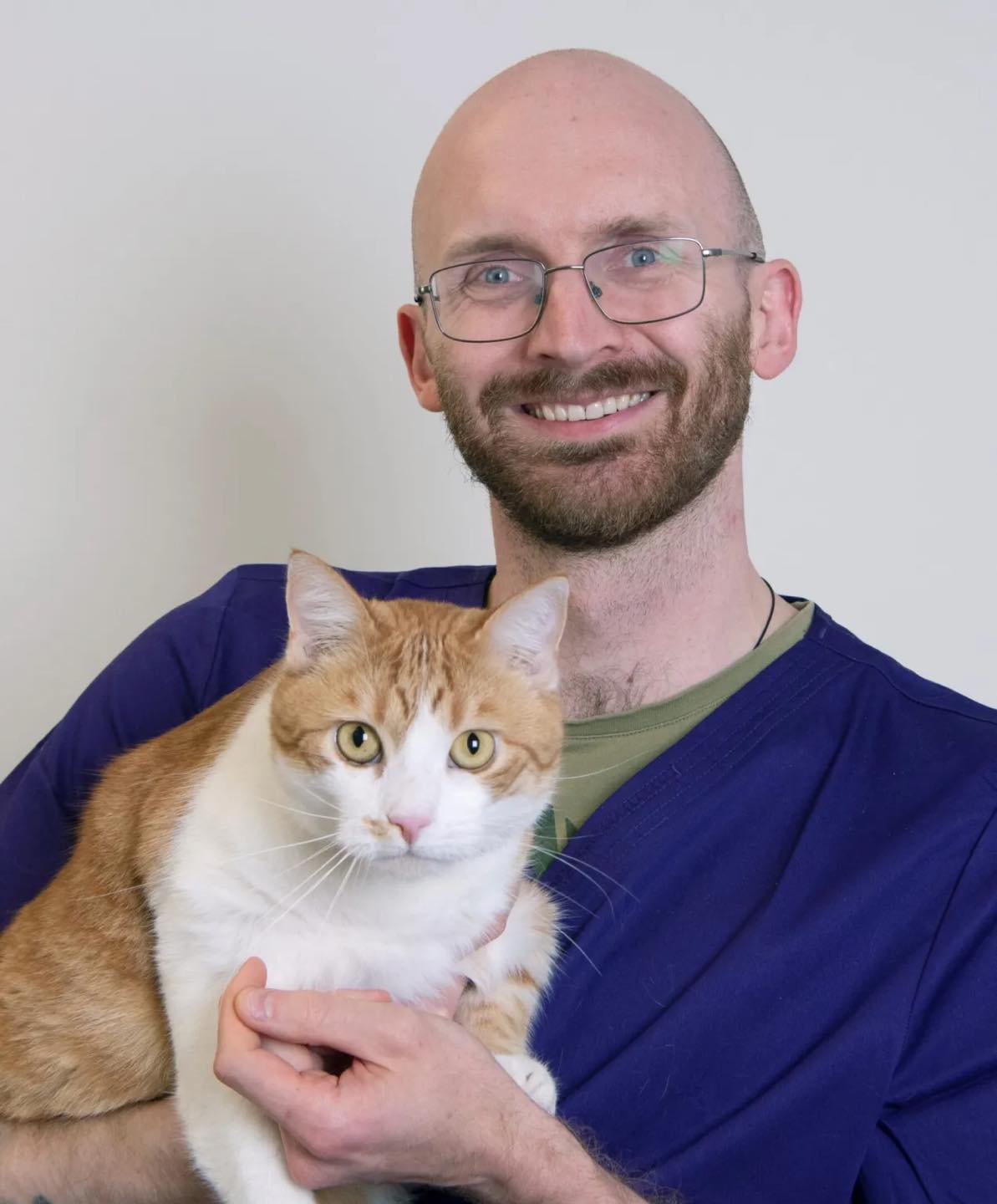 Perth Cat Hospital added a new photo. - Perth Cat Hospital